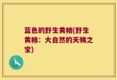 蓝色的野生黄精(野生黄精：大自然的天赐之宝)