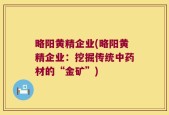 略阳黄精企业(略阳黄精企业：挖掘传统中药材的“金矿”)
