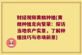 财经视频黄精种植(黄精种植走向繁荣：探访当地农户实景，了解种植技巧与市场前景)
