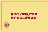 种植种子黄精(种植黄精的方法与步骤详解)