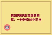 英国黄精明(英国黄精草：一种神奇的中药材