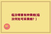 临汾哪里有种黄精(临汾何处可采黄精？)