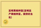 嵩明黄精种苗(嵩明出产黄精种苗，提供好去处)
