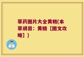 草药图片大全黄精(本草纲目：黄精【图文攻略】)