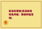 商洛收黄精(商洛新增特色种植：黄精种植落地)