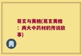 葛玄与黄精(葛玄黄精：两大中药材的传说故事)