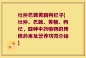 杜仲巴戟黄精枸杞子(杜仲、巴戟、黄精、枸杞，四种中药植物的传统药用及营养功效介绍)