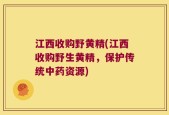 江西收购野黄精(江西收购野生黄精，保护传统中药资源)