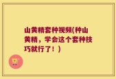 山黄精套种视频(种山黄精，学会这个套种技巧就行了！)