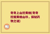 奇奇上山挖黄精(奇奇挖掘黄精山珍，探秘药物之谜)