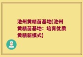 池州黄精苗基地(池州黄精苗基地：培育优质黄精新模式)
