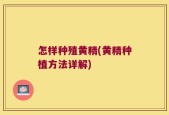 怎样种殖黄精(黄精种植方法详解)