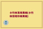 小竹林发现黄精(小竹林惊现珍稀黄精)