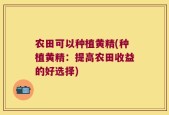 农田可以种植黄精(种植黄精：提高农田收益的好选择)