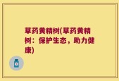 草药黄精树(草药黄精树：保护生态，助力健康)