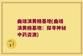 曲靖滇黄精基地(曲靖滇黄精基地：探寻神秘中药资源)