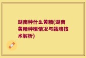 湖南种什么黄精(湖南黄精种植情况与栽培技术解析)