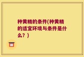 种黄精的条件(种黄精的适宜环境与条件是什么？)