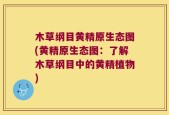 木草纲目黄精原生态图(黄精原生态图：了解木草纲目中的黄精植物)