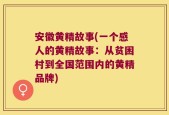 安徽黄精故事(一个感人的黄精故事：从贫困村到全国范围内的黄精品牌)