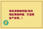 海林滇黄精种植(海滨地区黄精种植：打造黄金产业链。)