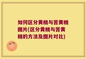 如何区分黄精与苦黄精图片(区分黄精与苦黄精的方法及图片对比)