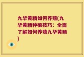 九华黄精如何养殖(九华黄精种植技巧：全面了解如何养殖九华黄精)