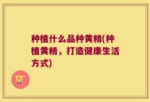 种植什么品种黄精(种植黄精，打造健康生活方式)