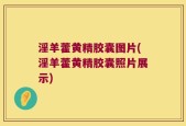 淫羊藿黄精胶囊图片(淫羊藿黄精胶囊照片展示)