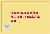 找黄精技巧(黄精种植技巧分享，打造高产高效果。)