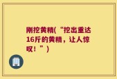 刚挖黄精(“挖出重达16斤的黄精，让人惊叹！”)