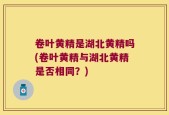卷叶黄精是湖北黄精吗(卷叶黄精与湖北黄精是否相同？)
