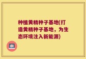 种植黄精种子基地(打造黄精种子基地，为生态环境注入新能源)