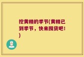 挖黄精的季节(黄精已到季节，快来囤货吧！)