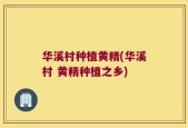 华溪村种植黄精(华溪村 黄精种植之乡)