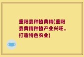 重阳县种植黄精(重阳县黄精种植产业兴旺，打造特色农业)