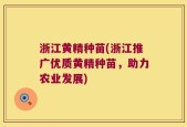 浙江黄精种苗(浙江推广优质黄精种苗，助力农业发展)