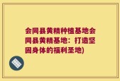会同县黄精种植基地会同县黄精基地：打造坚固身体的福利圣地)