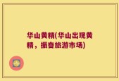 华山黄精(华山出现黄精，振奋旅游市场)
