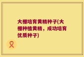 大棚培育黄精种子(大棚种植黄精，成功培育优质种子)