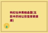 枸杞杜仲黄精桑葚(五款中药材让你变得更健康)