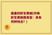 最重的野生黄精(珍稀野生黄精露真容：具有何种特点？)