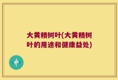 大黄精树叶(大黄精树叶的用途和健康益处)