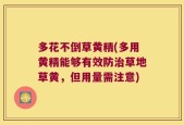 多花不倒草黄精(多用黄精能够有效防治草地草黄，但用量需注意)