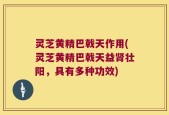 灵芝黄精巴戟天作用(灵芝黄精巴戟天益肾壮阳，具有多种功效)
