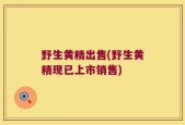 野生黄精出售(野生黄精现已上市销售)