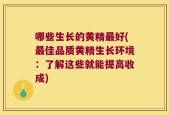 哪些生长的黄精最好(最佳品质黄精生长环境：了解这些就能提高收成)