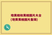 地黄精和黄精图片大全(地黄黄精图片集锦)