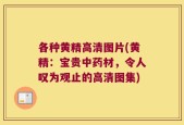 各种黄精高清图片(黄精：宝贵中药材，令人叹为观止的高清图集)