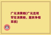 广元滇黄精(广元出现罕见滇黄精，居民争相采摘)